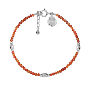 Mantra of Carnelian – विजय (Vijay)