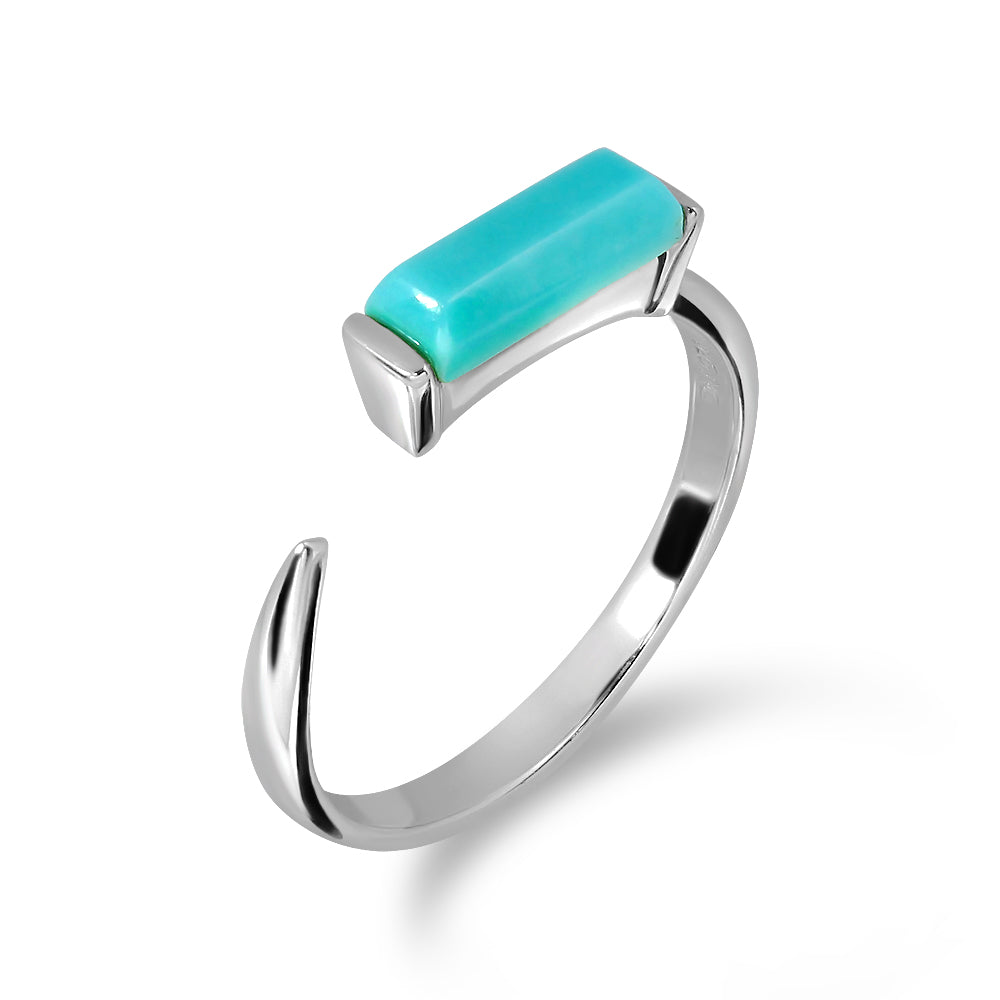 Turquoise Canvas Ring - RD